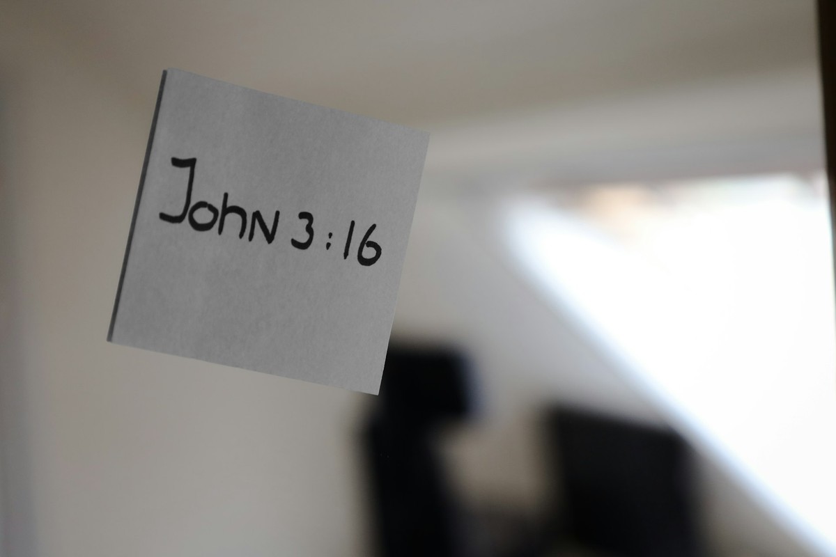 Testimonial from John Doe